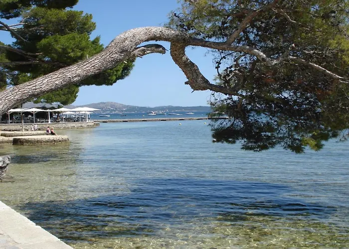 דירה Lovely Penthouse In Bellresguard *